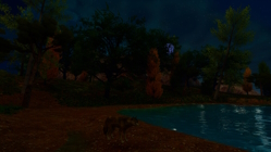 The Island by night with a wolf and lake